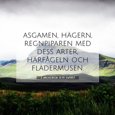 3 Mosebok 11:19 Bibelvers Förklarad