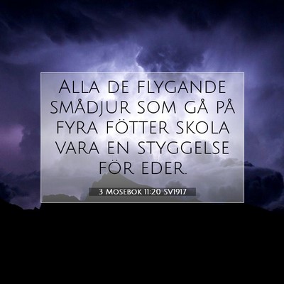 3 Mosebok 11:20 Bibelvers Förklarad