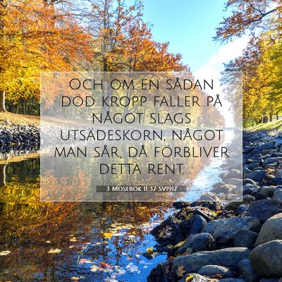 3 Mosebok 11:37 Bibelvers Förklarad
