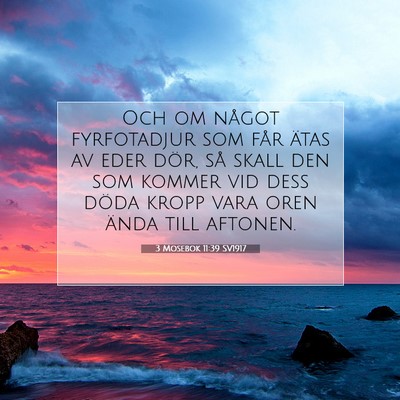 3 Mosebok 11:39 Bibelvers Förklarad