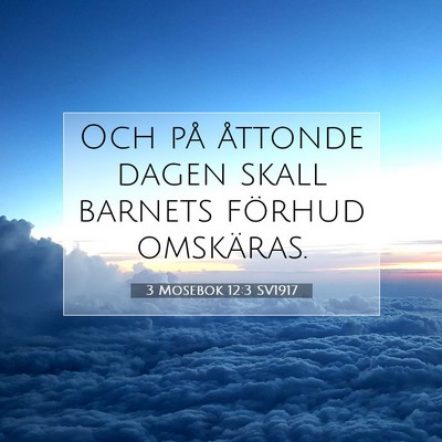 3 Mosebok 12:3 Bibelvers Förklarad