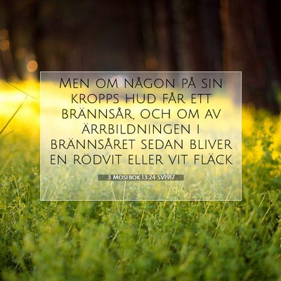 3 Mosebok 13:24 Bibelvers Förklarad
