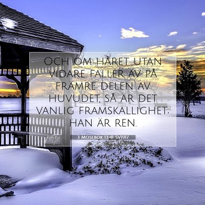 3 Mosebok 13:41 Bibelvers Förklarad