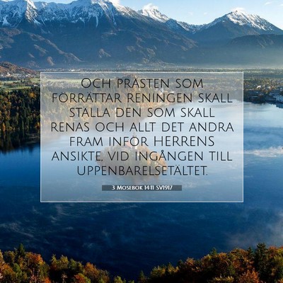 3 Mosebok 14:11 Bibelvers Förklarad