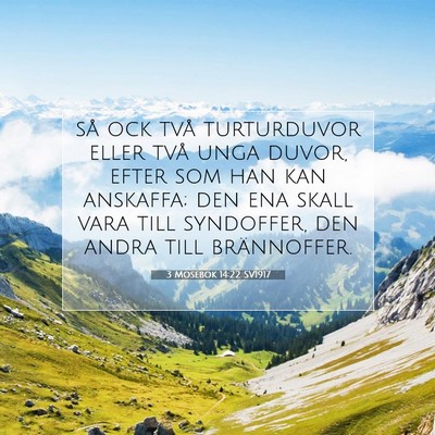 3 Mosebok 14:22 Bibelvers Förklarad