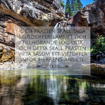 3 Mosebok 14:24 Bibelvers Förklarad