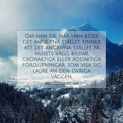 3 Mosebok 14:37 Bibelvers Förklarad