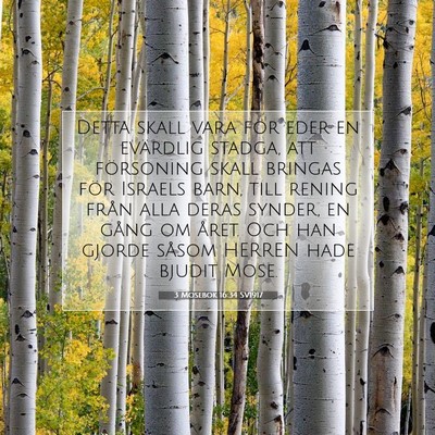 3 Mosebok 16:34 Bibelvers Förklarad