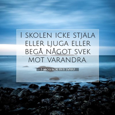 3 Mosebok 19:11 Bibelvers Förklarad
