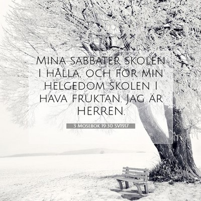 3 Mosebok 19:30 Bibelvers Förklarad