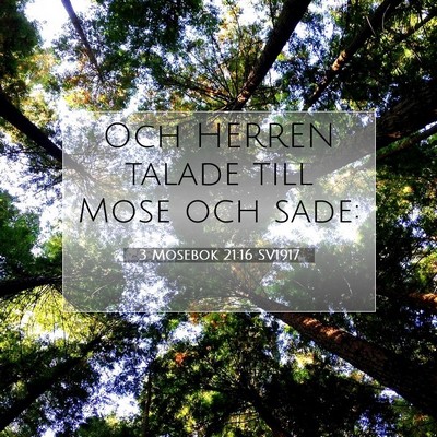 3 Mosebok 21:16 Bibelvers Förklarad