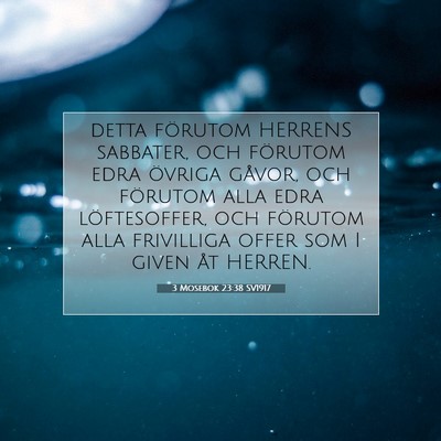 3 Mosebok 23:38 Bibelvers Förklarad