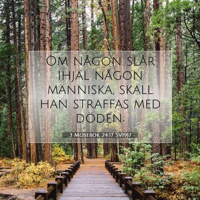 3 Mosebok 24:17 Bibelvers Förklarad