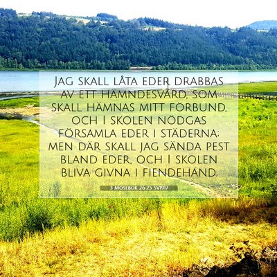 3 Mosebok 26:25 Bibelvers Förklarad