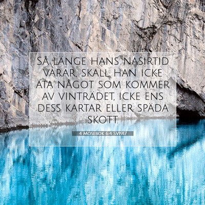 4 Mosebok 6:4 Bibelvers Förklarad