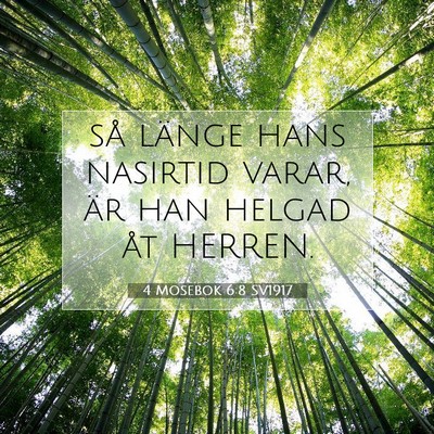 4 Mosebok 6:8 SV1917 Bild av bibelvers
