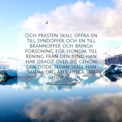 4 Mosebok 6:11 SV1917 Bild av bibelvers