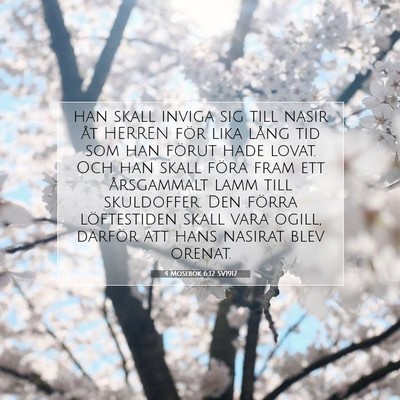4 Mosebok 6:12 Bibelvers Förklarad