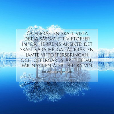 4 Mosebok 6:20 Bibelvers Förklarad