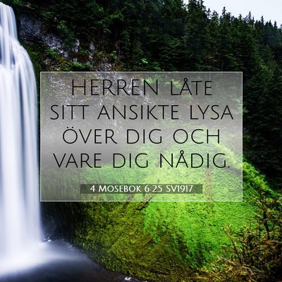 4 Mosebok 6:25 Bibelvers Förklarad