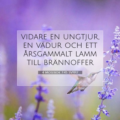 4 Mosebok 7:45 Bibelvers Förklarad