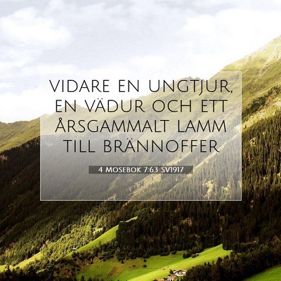 4 Mosebok 7:63 Bibelvers Förklarad