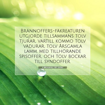 4 Mosebok 7:87 Bibelvers Förklarad