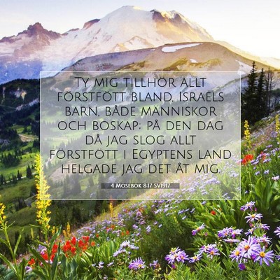 4 Mosebok 8:17 Bibelvers Förklarad