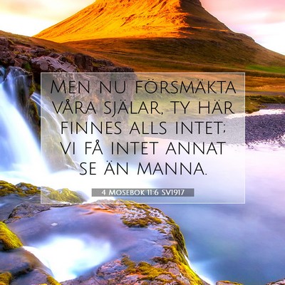4 Mosebok 11:6 Bibelvers Förklarad