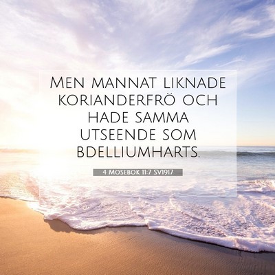 4 Mosebok 11:7 Bibelvers Förklarad