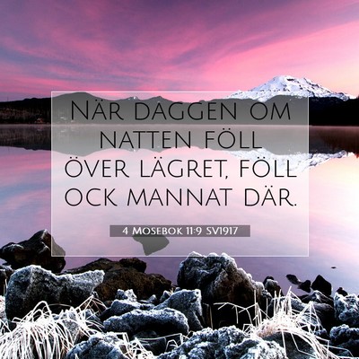 4 Mosebok 11:9 Bibelvers Förklarad
