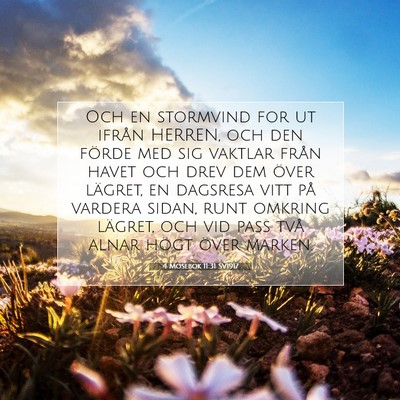 4 Mosebok 11:31 Bibelvers Förklarad