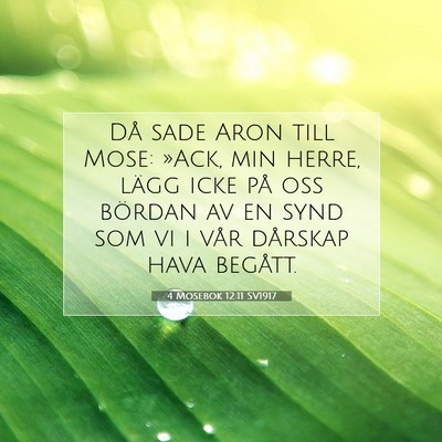 4 Mosebok 12:11 Bibelvers Förklarad