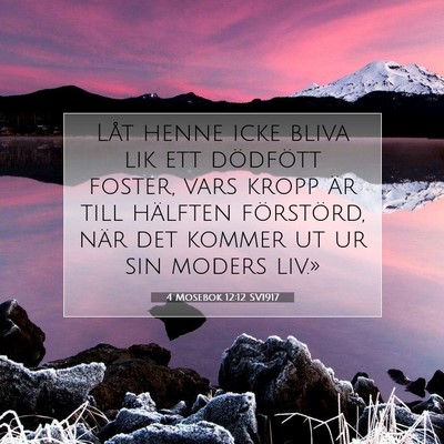 4 Mosebok 12:12 Bibelvers Förklarad