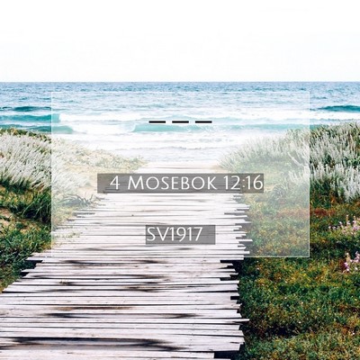4 Mosebok 12:16 SV1917 Bild av bibelvers