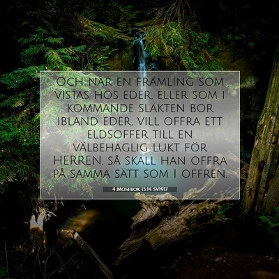4 Mosebok 15:14 Bibelvers Förklarad