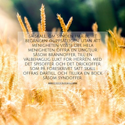 4 Mosebok 15:24 Bibelvers Förklarad