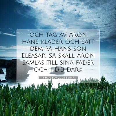 4 Mosebok 20:26 Bibelvers Förklarad