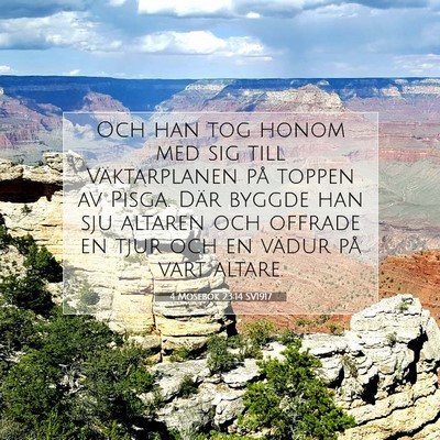4 Mosebok 23:14 Bibelvers Förklarad