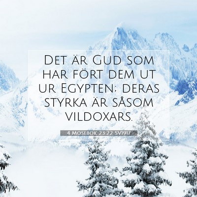4 Mosebok 23:22 Bibelvers Förklarad