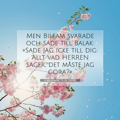 4 Mosebok 23:26 Bibelvers Förklarad