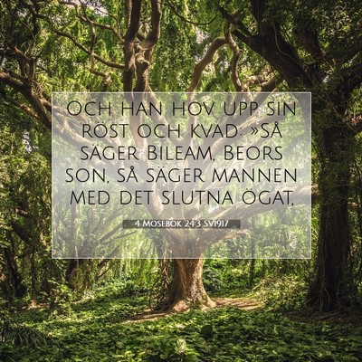 4 Mosebok 24:3 Bibelvers Förklarad
