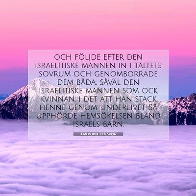 4 Mosebok 25:8 Bibelvers Förklarad
