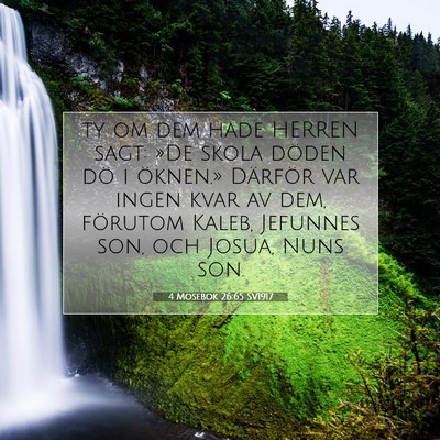 4 Mosebok 26:65 Bibelvers Förklarad