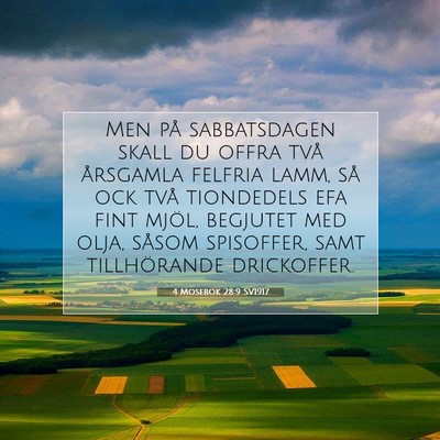 4 Mosebok 28:9 Bibelvers Förklarad