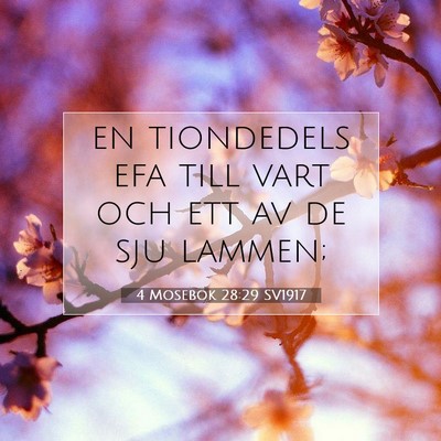 4 Mosebok 28:29 Bibelvers Förklarad