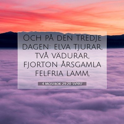 4 Mosebok 29:20 Bibelvers Förklarad