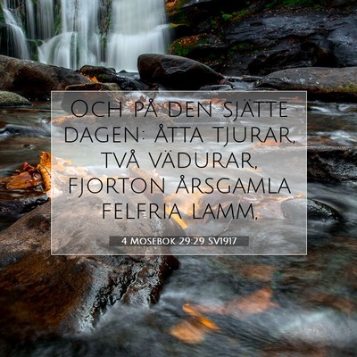 4 Mosebok 29:29 Bibelvers Förklarad