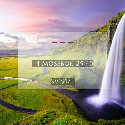 4 Mosebok 29:40 Bibelvers Förklarad
