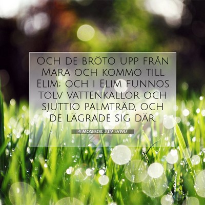 4 Mosebok 33:9 Bibelvers Förklarad